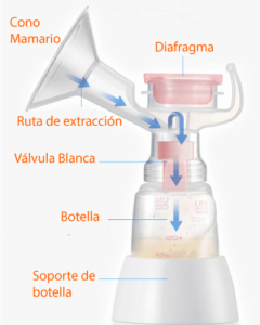 Bebo Extractores